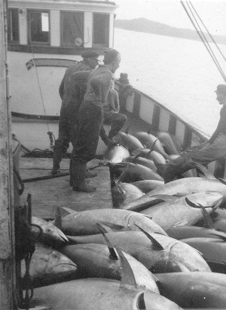 Sjøleik med størje i 1952