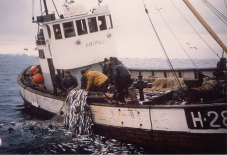 Fiskholmen drar garn i 1967. Foto: Kjell og Oddvar Hausken